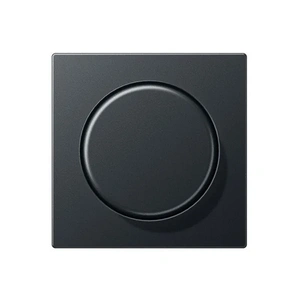 Изображение Накладка для поворотного диммера Eco Profi Standart антрацит EP1540BFAN Jung