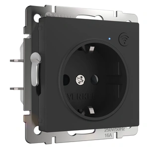 Изображение Умная встраиваемая розетка с заземлением с защитными шторками (черный матовый) W1171608