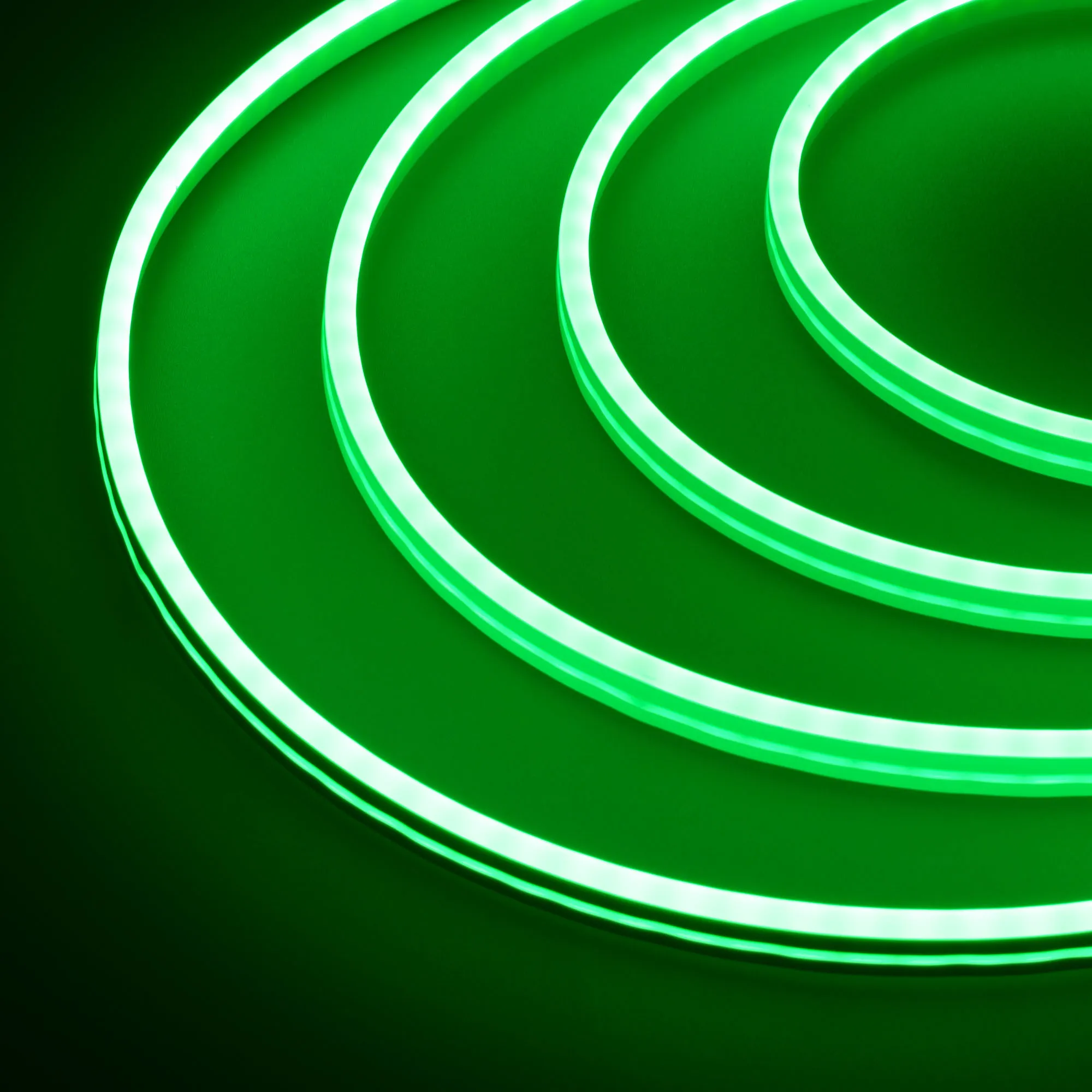Образец Гибкий неон GALAXY-1206-5000CFS-2835-100 12V Green 0.5M (12x6mm, 12W, IP67) (Arlight, 12 Вт/м, IP67) - Изображение